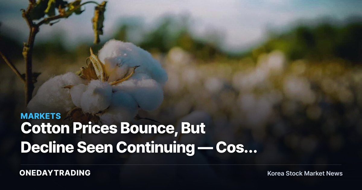 Cotton Prices Bounce, But Decline Seen Continuing — Cost Relief for Textile and Apparel Makers