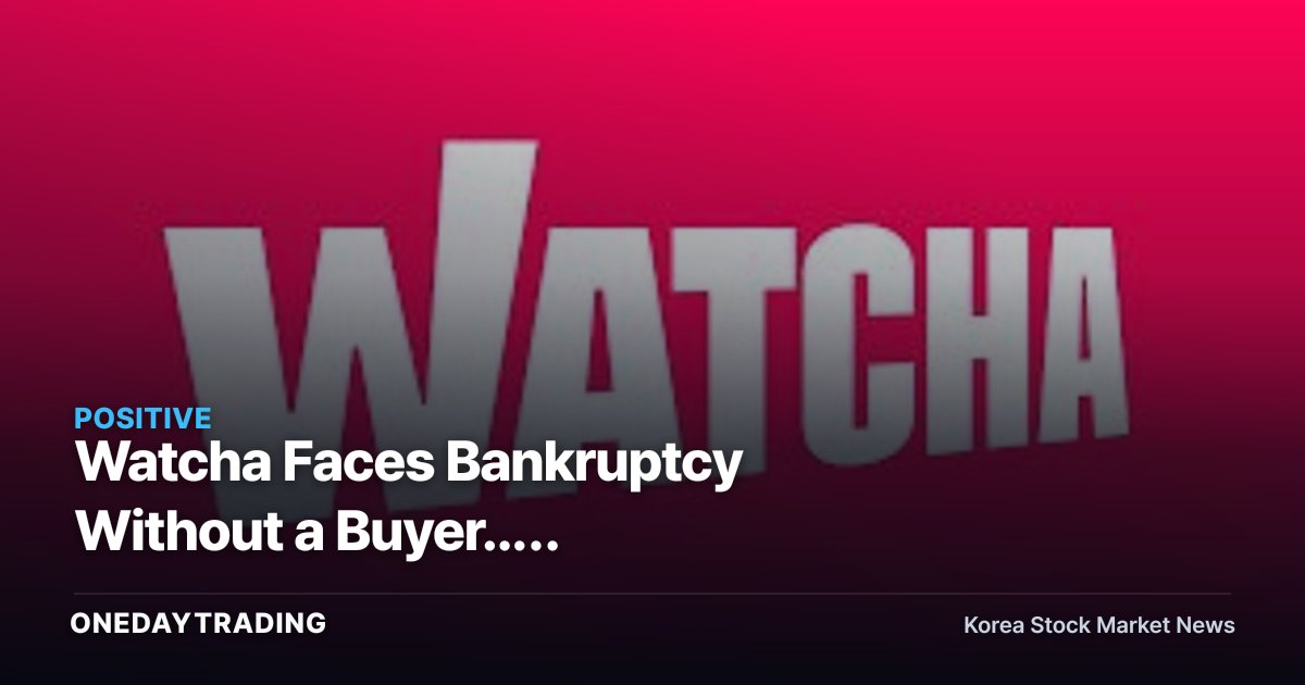 Watcha Faces Bankruptcy Without a Buyer... First-Generation Korean OTT's Rehabilitation Plan Approval Hangs in the Balance This Week