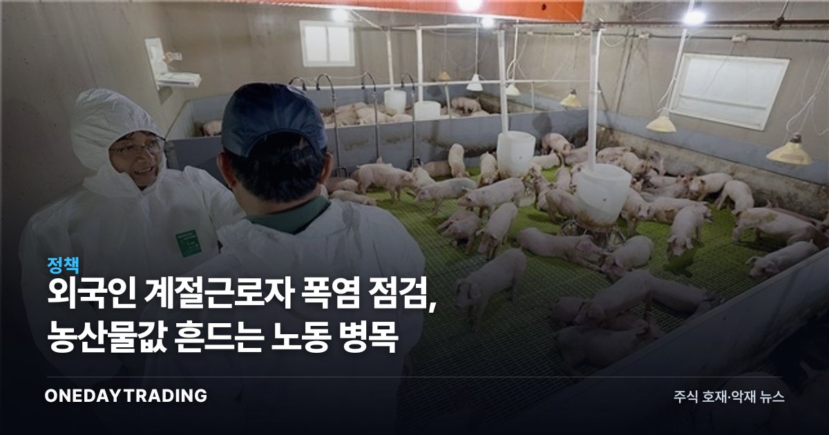외국인 계절근로자 폭염 점검, 농산물값 흔드는 노동 병목