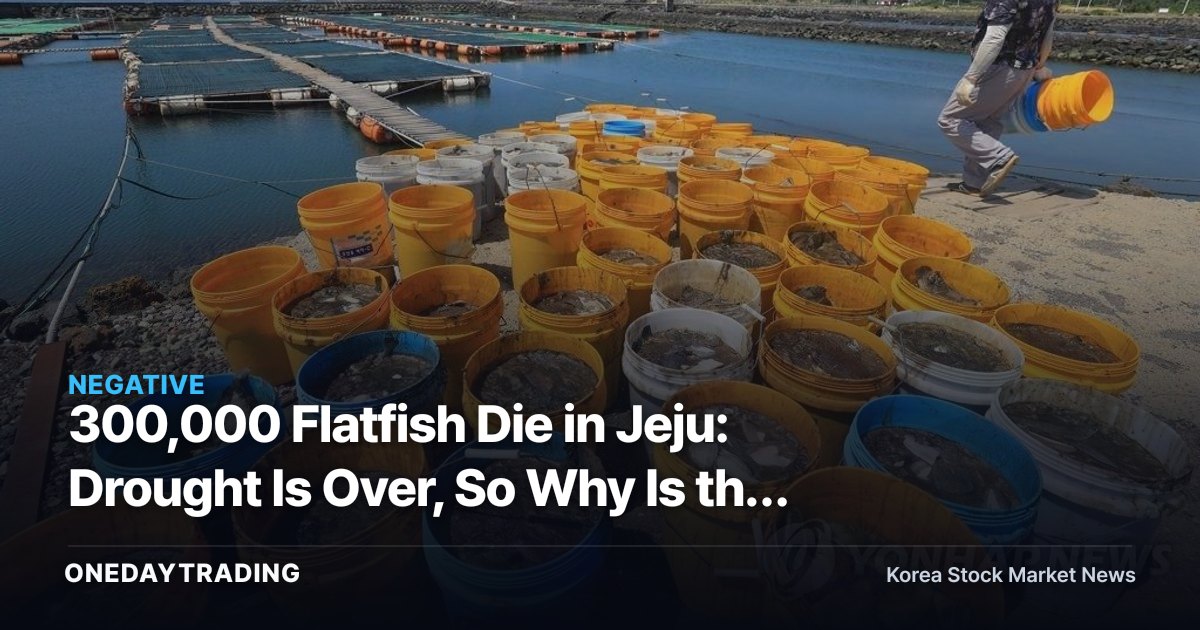 300,000 Flatfish Die in Jeju: Drought Is Over, So Why Is the Sea Still So Hot?