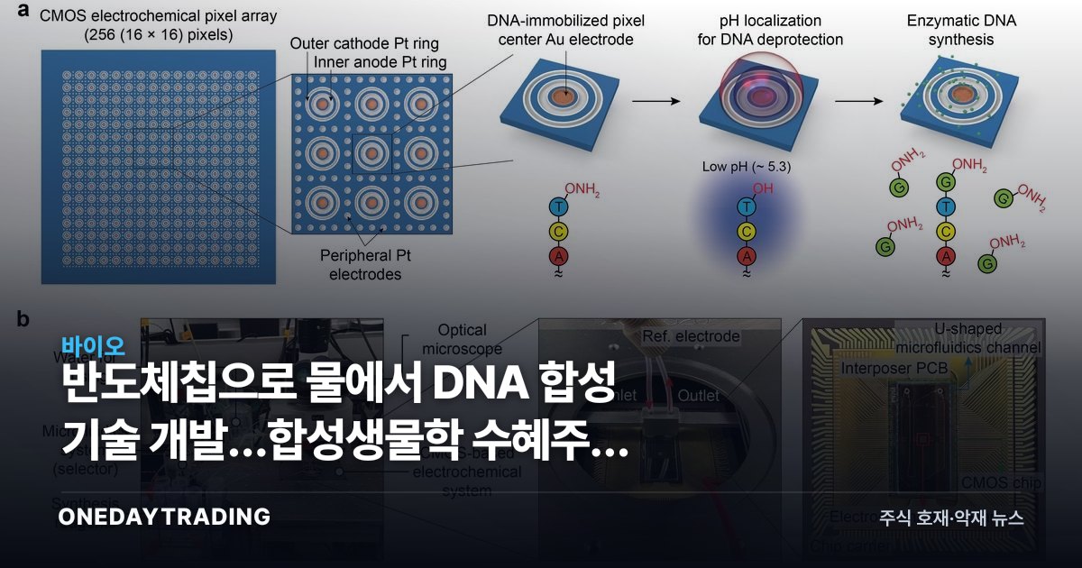 반도체칩으로 물에서 DNA 합성 기술 개발…합성생물학 수혜주와 리스크 점검