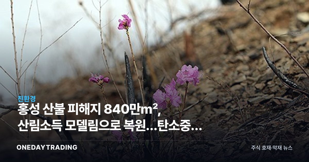 홍성 산불 피해지 840만㎡, 산림소득 모델림으로 복원…탄소중립 실현