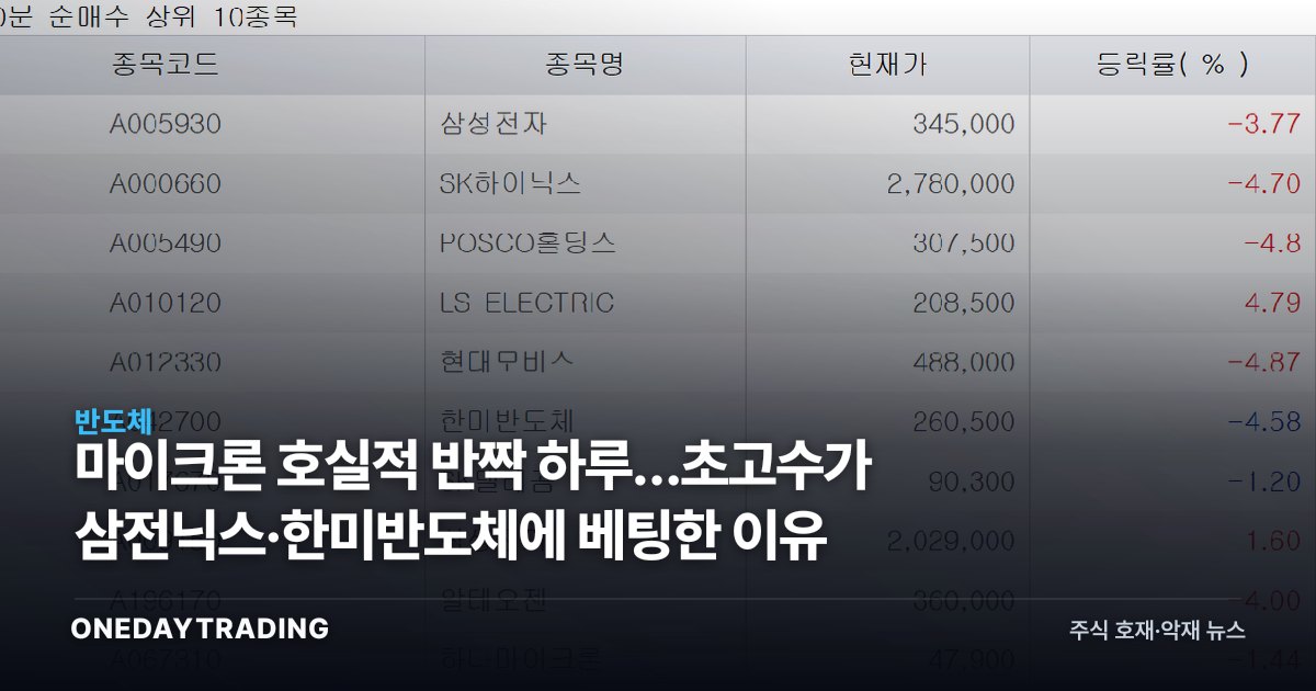 마이크론 호실적 반짝 하루…초고수가 삼전닉스·한미반도체에 베팅한 이유