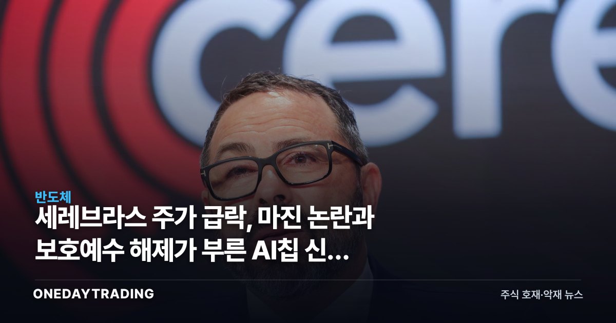 세레브라스 주가 급락, 마진 논란과 보호예수 해제가 부른 AI칩 신뢰 시험