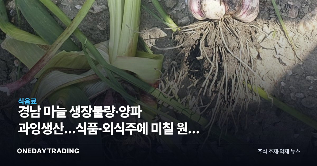 경남 마늘 생장불량·양파 과잉생산…식품·외식주에 미칠 원가 변수 점검