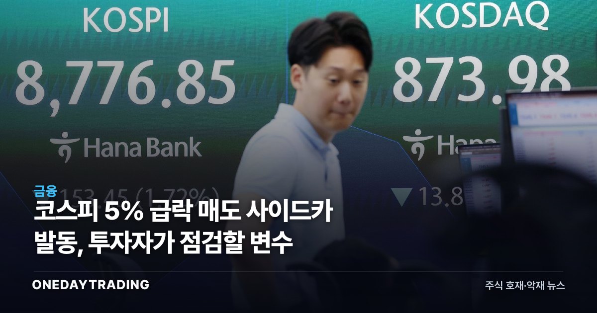 코스피 5% 급락 매도 사이드카 발동, 투자자가 점검할 변수