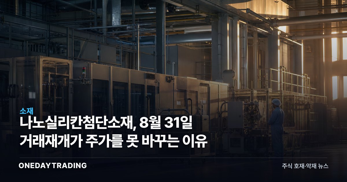 나노실리칸첨단소재, 8월 31일 거래재개가 주가를 못 바꾸는 이유
