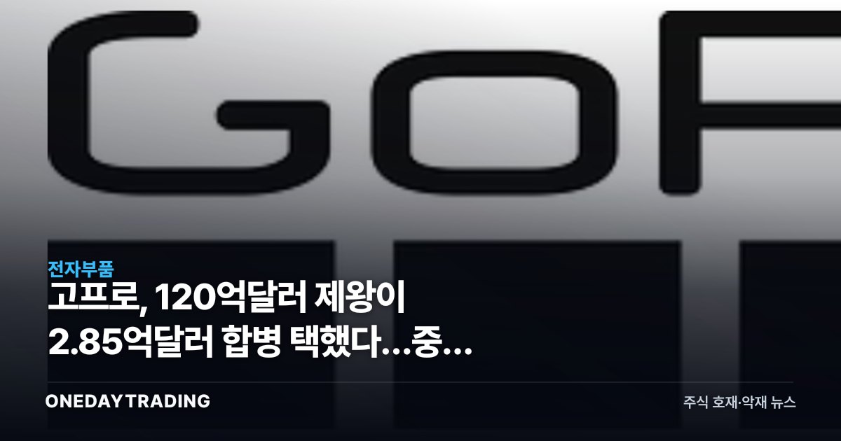 고프로, 120억달러 제왕이 2.85억달러 합병 택했다…중국 액션캠의 역습