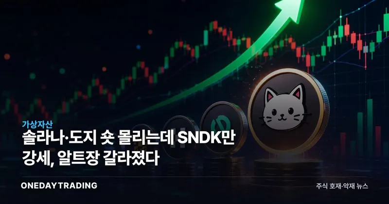 솔라나·도지 숏 몰리는데 SNDK만 강세, 알트장 갈라졌다