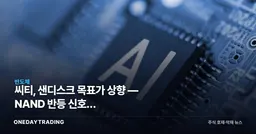 씨티, 샌디스크 목표가 상향 — NAND 반등 신호와 삼성·SK하이닉스 수혜 점검