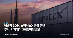테슬라 30%·스페이스X 몸값 동반 추락, 서학개미 30조 베팅 균열