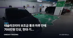 테슬라코리아 보조금 통과 하루 만에 700만원 인상, 현대·기아 반사이익 생기나