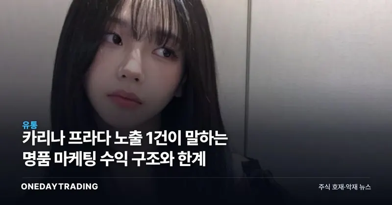 카리나 프라다 노출 1건이 말하는 명품 마케팅 수익 구조와 한계