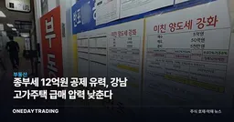 종부세 12억원 공제 유력, 강남 고가주택 급매 압력 낮춘다