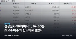 삼성전기·SK하이닉스, 9시30분 초고수 매수 왜 반도체로 몰렸나