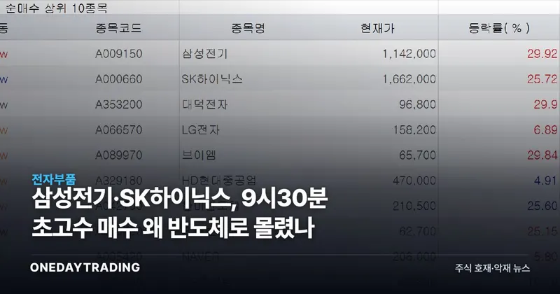 삼성전기·SK하이닉스, 9시30분 초고수 매수 왜 반도체로 몰렸나