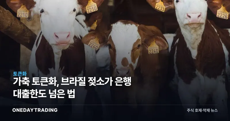 가축 토큰화, 브라질 젖소가 은행 대출한도 넘은 법
