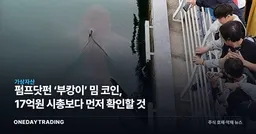 펌프닷펀 ‘부캉이’ 밈 코인, 17억원 시총보다 먼저 확인할 것