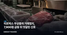 미트박스 무상증자 거래정지, 7,900원 급등 뒤 엇갈린 신호