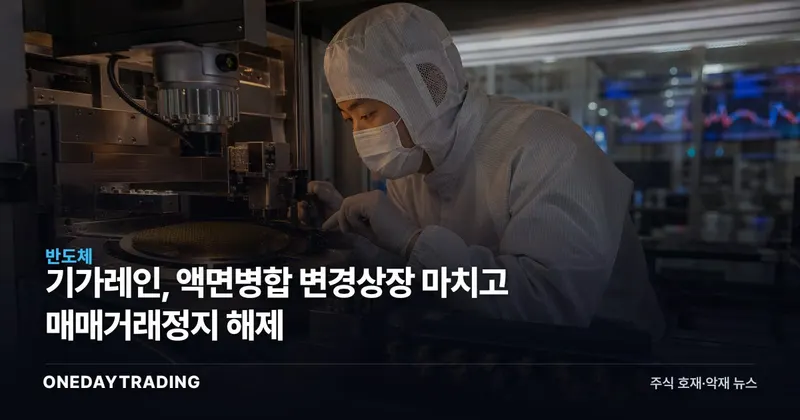 기가레인, 액면병합 변경상장 마치고 매매거래정지 해제
