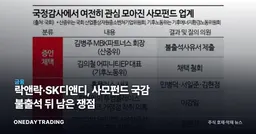 락앤락·SK디앤디, 사모펀드 국감 불출석 뒤 남은 쟁점
