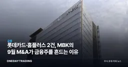 롯데카드·홈플러스 2건, MBK의 9월 M&A가 금융주를 흔드는 이유