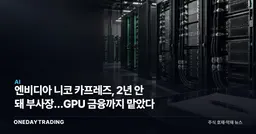 엔비디아 니코 카프레즈, 2년 안 돼 부사장…GPU 금융까지 맡았다
