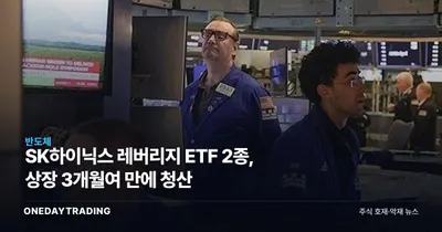 SK하이닉스 레버리지 ETF 2종, 상장 3개월여 만에 청산