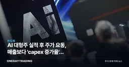AI 대형주 실적 후 주가 요동, 매출보다 'capex 증가율'이 갈랐다