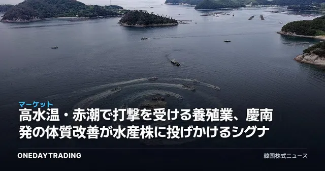 高水温・赤潮で打撃を受ける養殖業、慶南発の体質改善が水産株に投げかけるシグナル