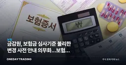 금감원, 보험금 심사기준 불리한 변경 사전 안내 의무화…보험주 영향은