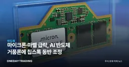 마이크론·마벨 급락, AI 반도체 거품론에 칩스톡 동반 조정