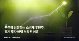꾸준히 성장하는 소비재 우량주, 장기 투자 매력 부각된 이유