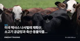 미국 텍사스 나사벌레 재확산, 소고기 공급망과 축산·동물약품주 영향 점검