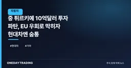 中 튀르키예 10억달러 투자 파탄, EU 우회로 막히자 현대차엔 숨통