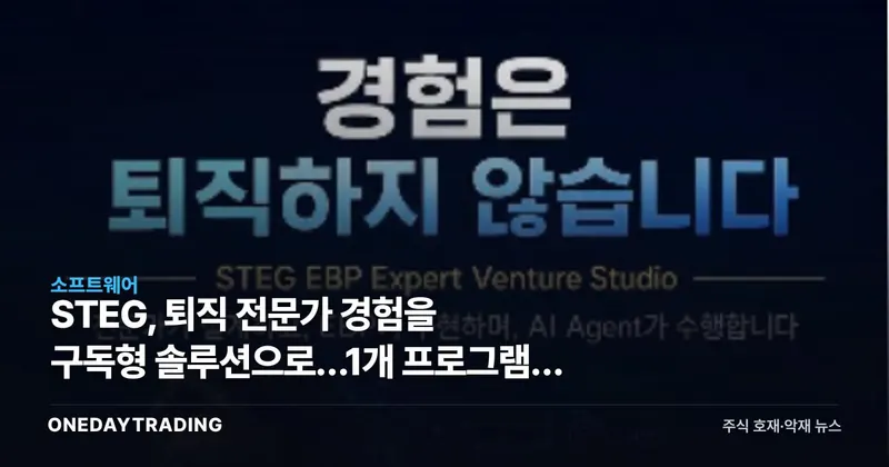 STEG, 퇴직 전문가 경험을 구독형 솔루션으로…1개 프로그램이 바꾸는 B2B 시장