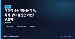 라인강 수위 반등은 착시, 화학·정유 생산은 여전히 반토막