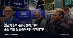 코스피 6주 40% 급락, 개미 손실 키운 단일종목 레버리지 ETF