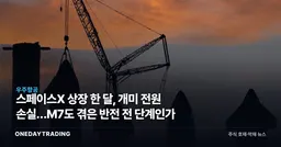 스페이스X 상장 한 달, 개미 전원 손실…M7도 겪은 반전 전 단계인가