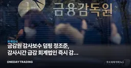 금감원 감사보수 덤핑 정조준, 감사시간 급감 회계법인 즉시 감리 착수