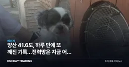 양산 41.6도, 하루 만에 또 깨진 기록…전력망은 지금 어느 국면인가