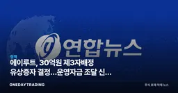 에이루트, 30억원 제3자배정 유상증자 결정…운영자금 조달 신호 읽기