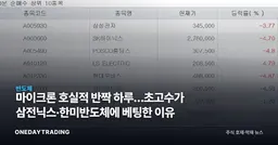 마이크론 호실적 반짝 하루…초고수가 삼전닉스·한미반도체에 베팅한 이유