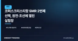 코퍼스크리스티항 SMR 2번째 선택, 원전·조선에 열린 실험장