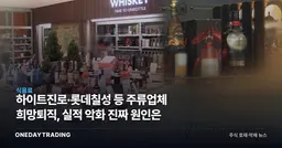 하이트진로·롯데칠성 등 주류업체 희망퇴직, 실적 악화 진짜 원인은