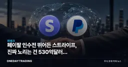 페이팔 인수전 뛰어든 스트라이프, 진짜 노리는 건 530억달러가 아니다