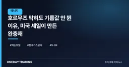 호르무즈 막혀도 기름값 안 뛴 이유, 미국 셰일이 만든 완충재