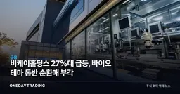 비케이홀딩스 27%대 급등, 바이오 테마 동반 순환매 부각