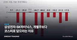 삼성전자·SK하이닉스, 개별주보다 코스피로 담으라는 이유