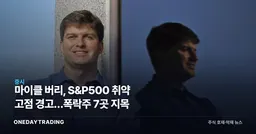 마이클 버리, S&P500 취약 고점 경고…폭락주 7곳 지목